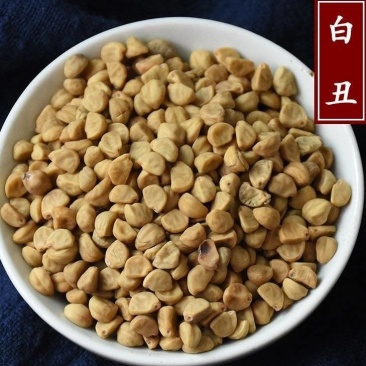 白丑精选白丑牵牛子干净无杂质批发零售量大优惠