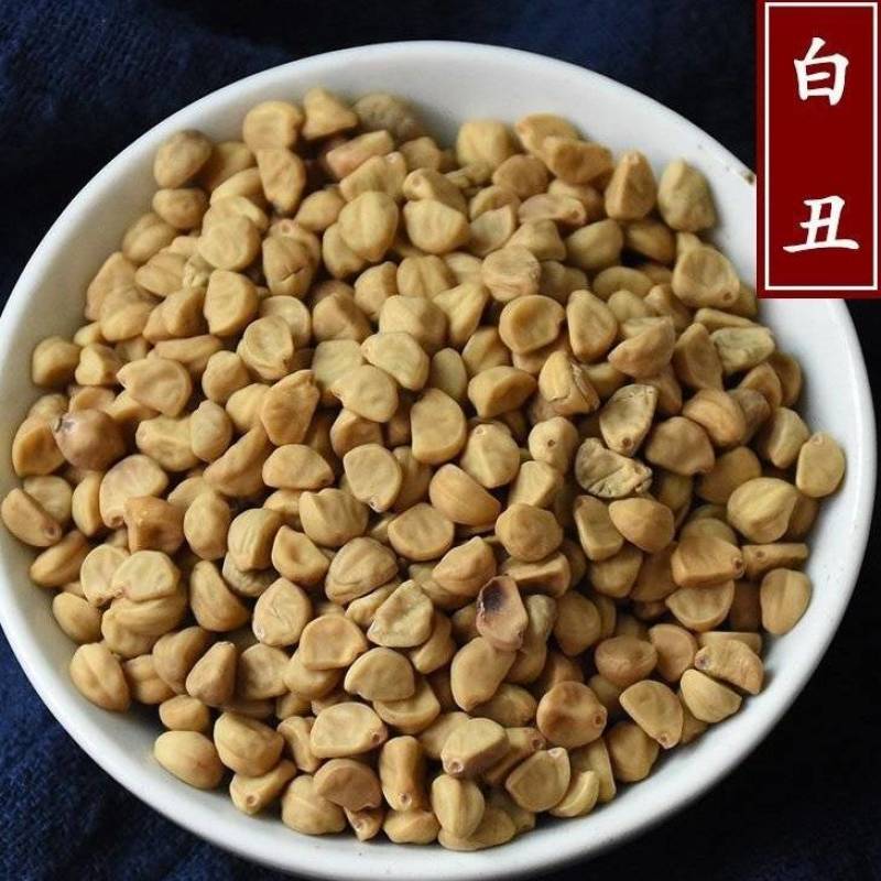 白丑精选白丑牵牛子干净无杂质批发零售量大优惠