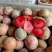 《精选》恐龙蛋李子杏李洛阳果园直发诚信至上对接全国