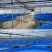 镀锌板帆布蓄水池水产养殖池果园储水灌溉
