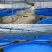 镀锌板帆布蓄水池水产养殖池果园储水灌溉