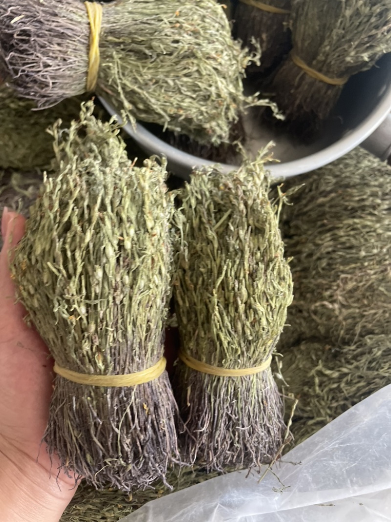 【精品】矮脚独脚金短货精品A货青绿短一手货源大量供