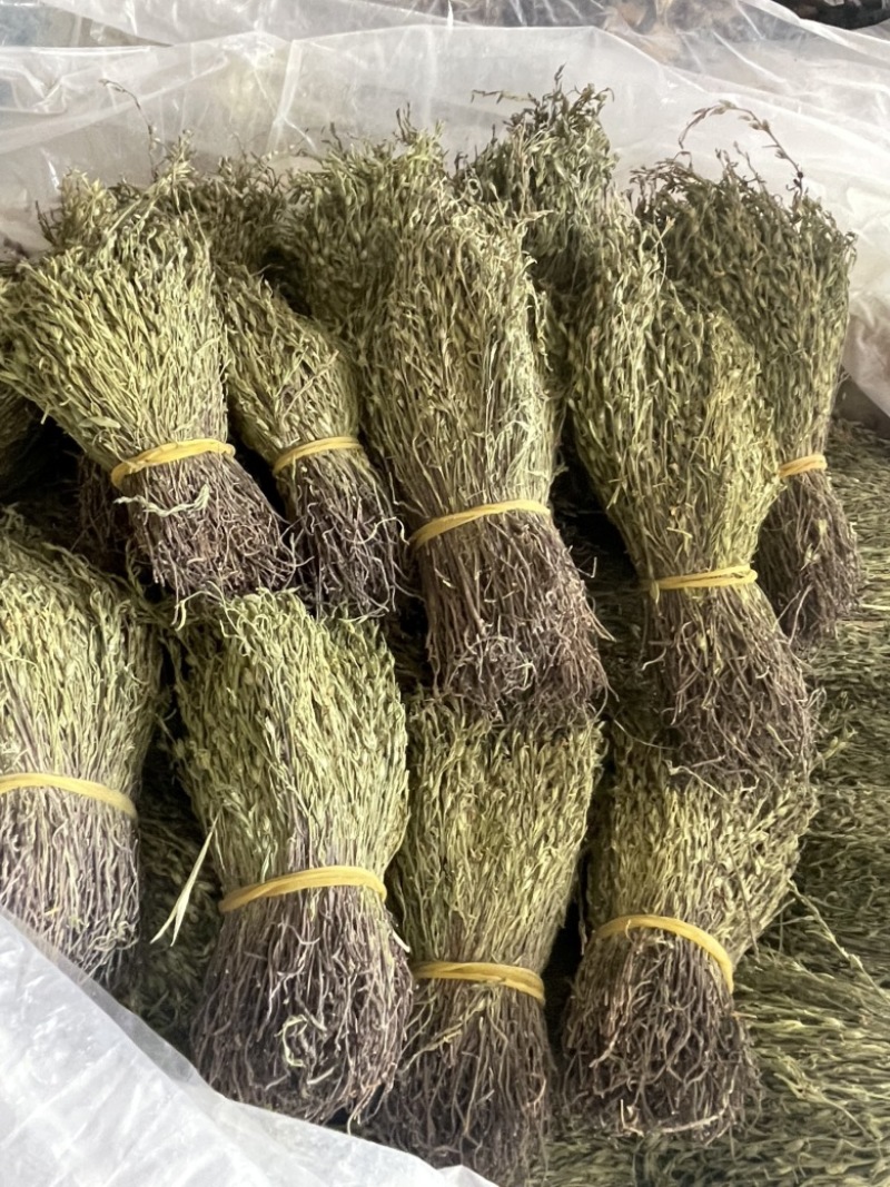 【精品】矮脚独脚金短货精品A货青绿短一手货源大量供