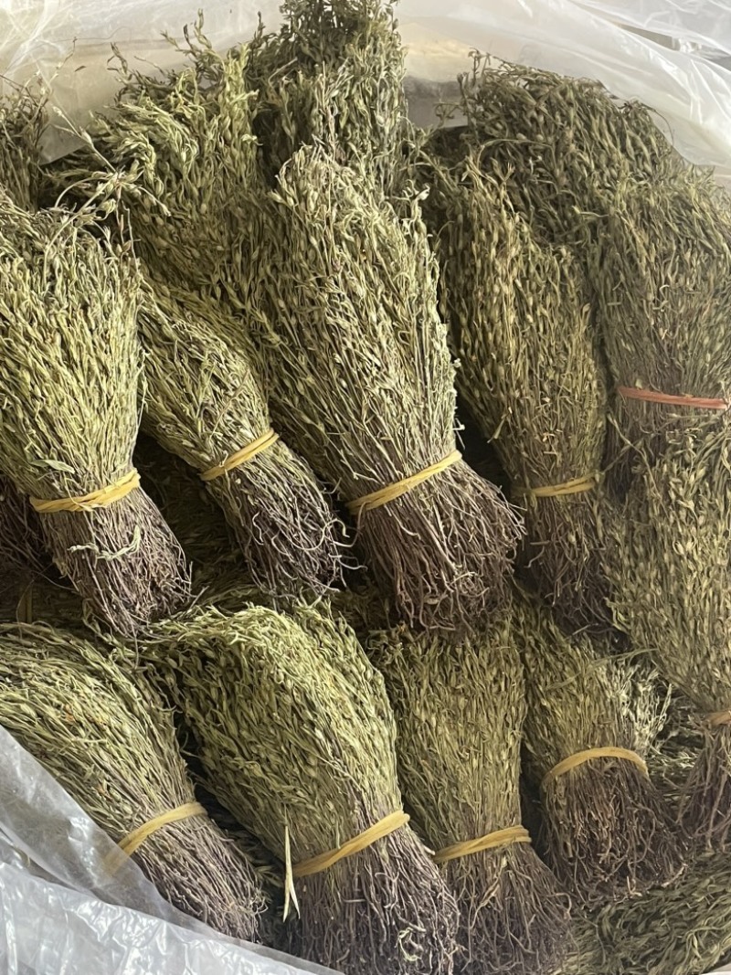 【精品】矮脚独脚金短货精品A货青绿短一手货源大量供
