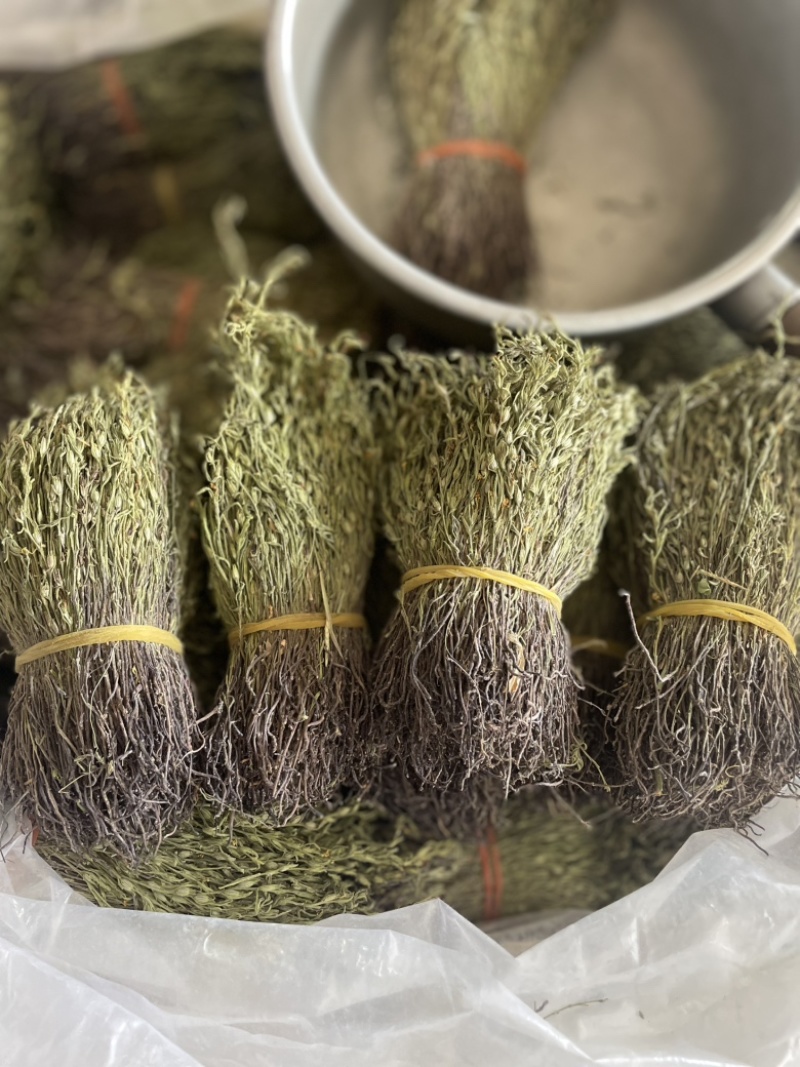 【精品】矮脚独脚金短货精品A货青绿短一手货源大量供