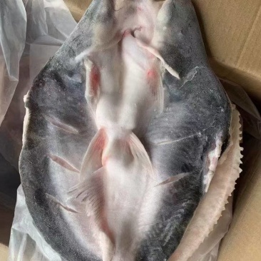 翻骨腌制巴沙鱼，品质不错