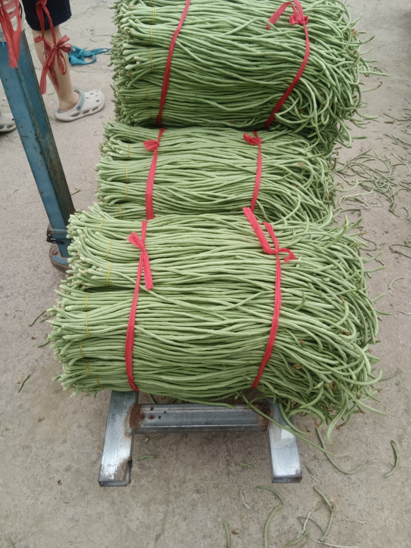 优质豆角虹豆