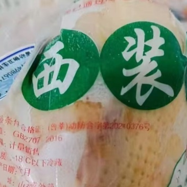 西装鸡大小规格齐全质量保证全国冷链发货