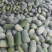河南水果冬瓜/2—4斤/可按需分拣/质量三包/基地直发