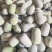 河南水果冬瓜/2—4斤/可按需分拣/质量三包/基地直发