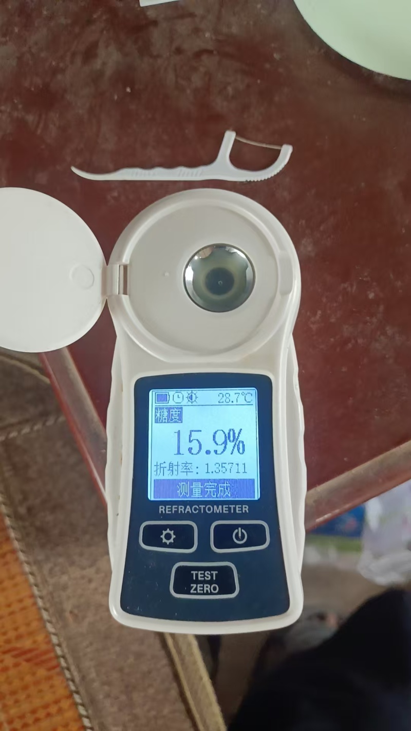 阳光玫瑰