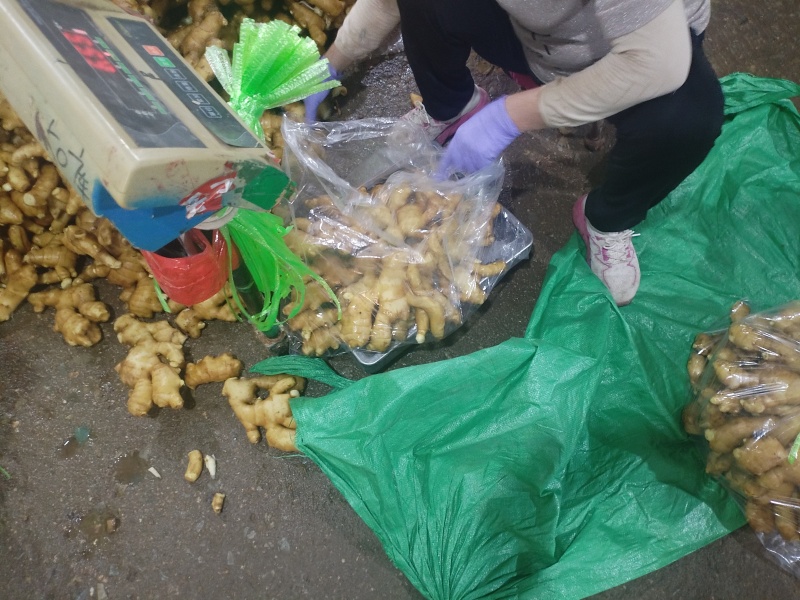 山东大黄姜，水洗姜，泥姜，姜巴子，全国发货