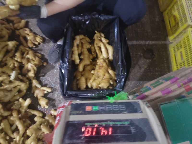 山东大黄姜，水洗姜，泥姜，姜巴子，全国发货