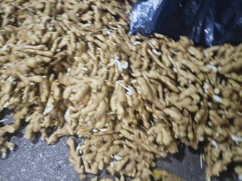 山东大黄姜，水洗姜，泥姜，姜巴子，全国发货