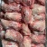 猪腱子肉大前腱小前腱新货。新日期高品质纯干