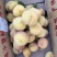 广安岳池30亩黄桃基地，太和黄桃品种，口感好
