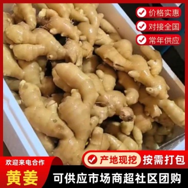 大黄姜生姜鲜黄姜水洗姜对接全国市场电商商超