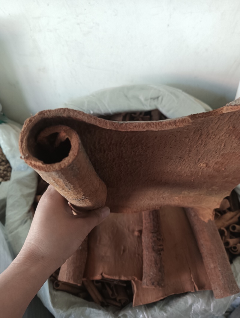 肉桂桂皮油桂多个规格任选批发各种中药材量大优惠