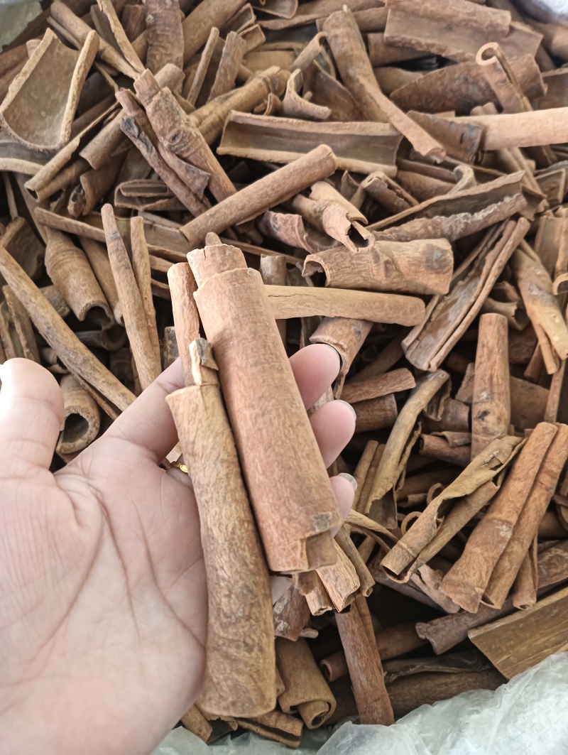 肉桂桂皮油桂多个规格任选批发各种中药材量大优惠