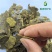 棉籽饼油渣无需二次发酵饼肥有机肥厂家直销量大价优