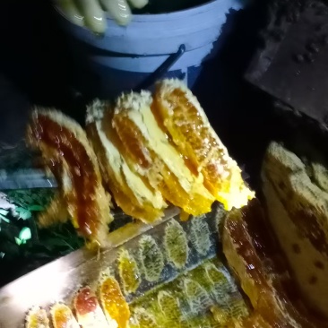 正宗农家土蜂蜜