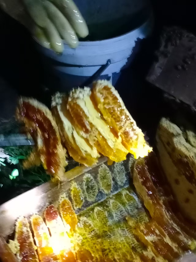 正宗农家土蜂蜜