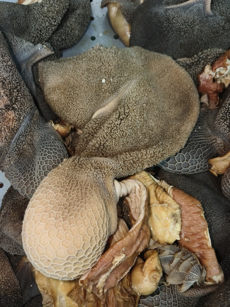 五香羊肚