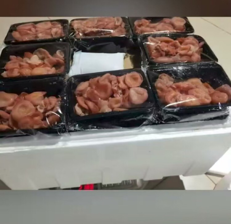 蘑菇粉耳菌菇基地直销量大价优质优支持视频看货采购