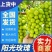 陕西阳光玫瑰&陕西葡萄大量供应口感甜含糖高全国发货