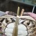 江苏阳澄湖大闸蟹，公蟹一手货源欢迎电话订货，现发