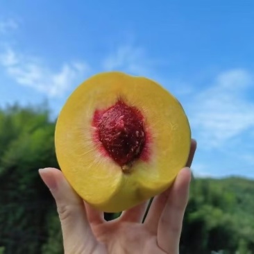 口感嘎嘎好