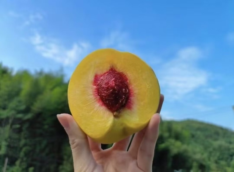 口感嘎嘎好