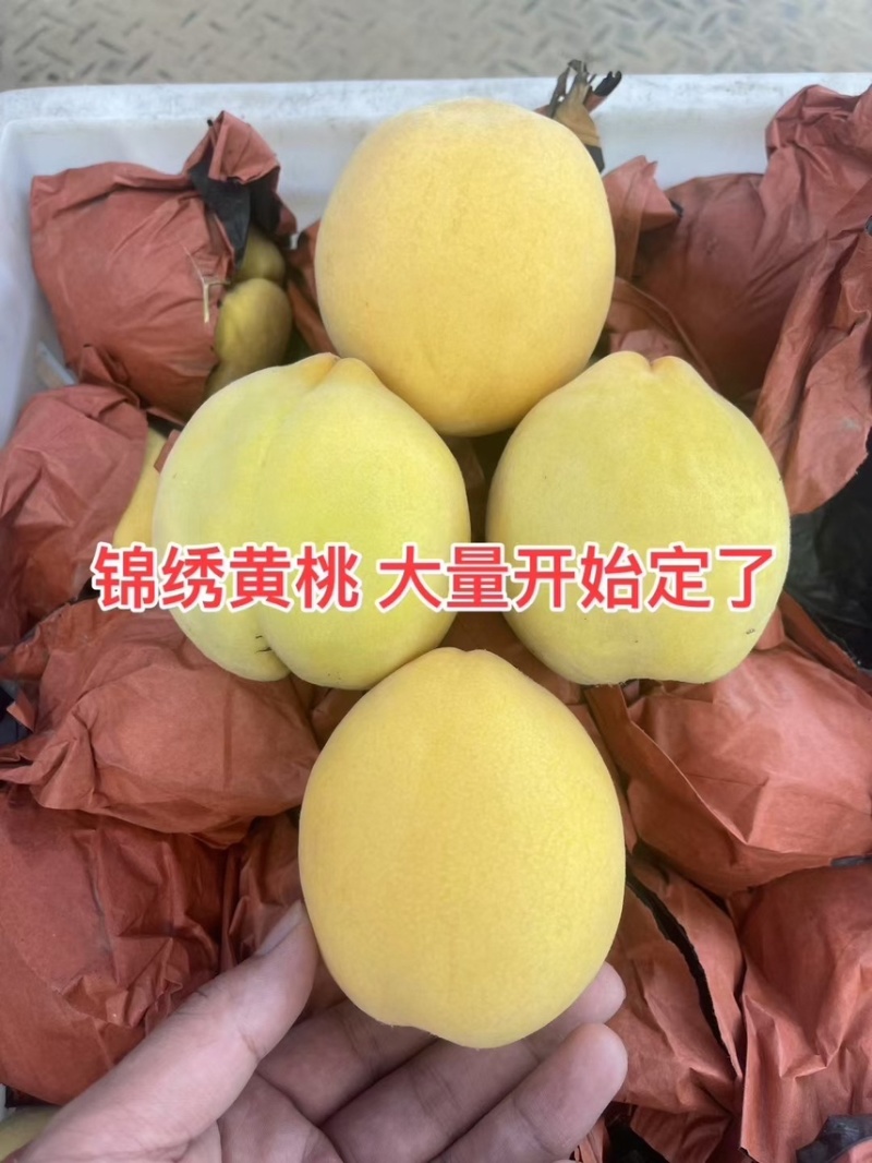 口感嘎嘎好