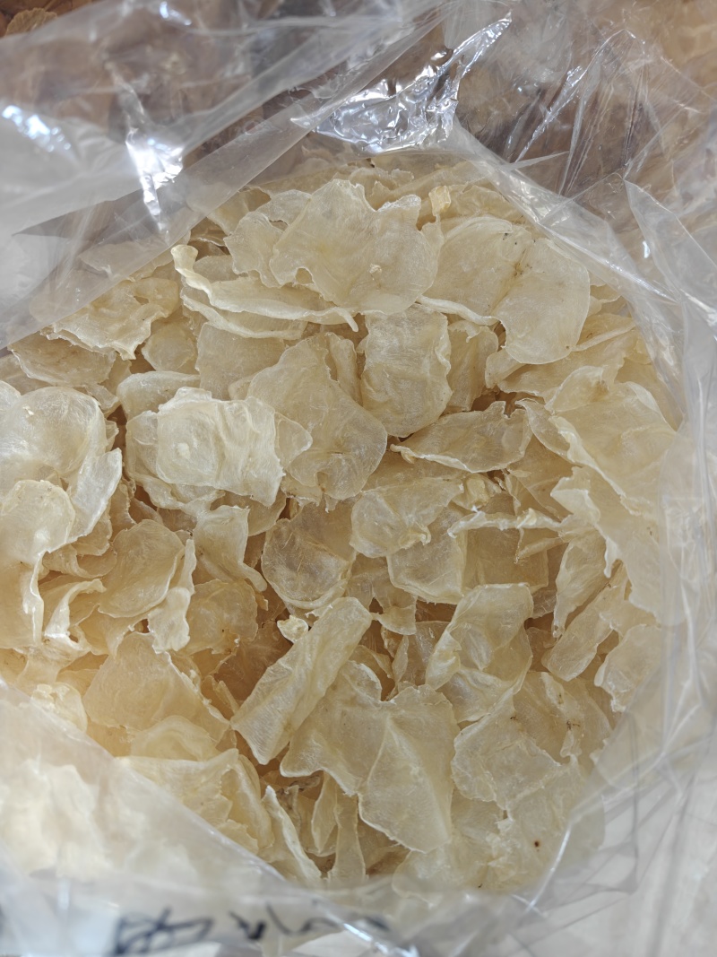 蝴蝶胶加州白胶40头胶质好腥味低奶冻鱼胶花胶批发