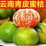 【酸甜多汁】云南蜜橘无核薄皮橘子青皮桔子时令水果当季现货现摘
