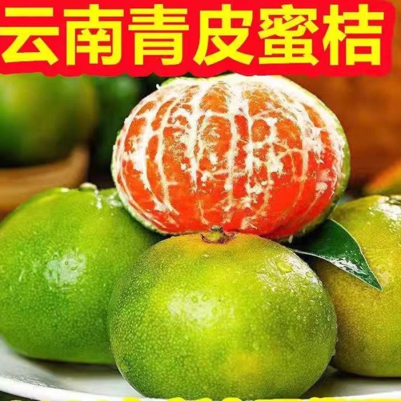 【酸甜多汁】云南蜜橘无核薄皮橘子青皮桔子时令水果当季现货现摘