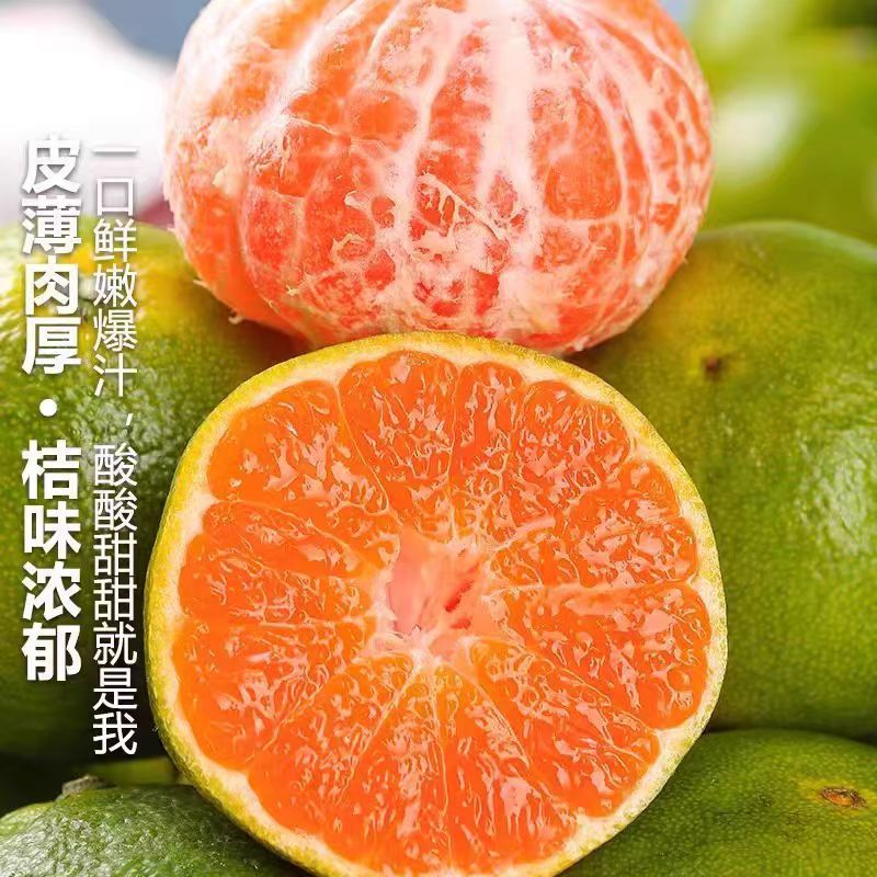 【酸甜多汁】云南蜜橘无核薄皮橘子青皮桔子时令水果当季现货现摘