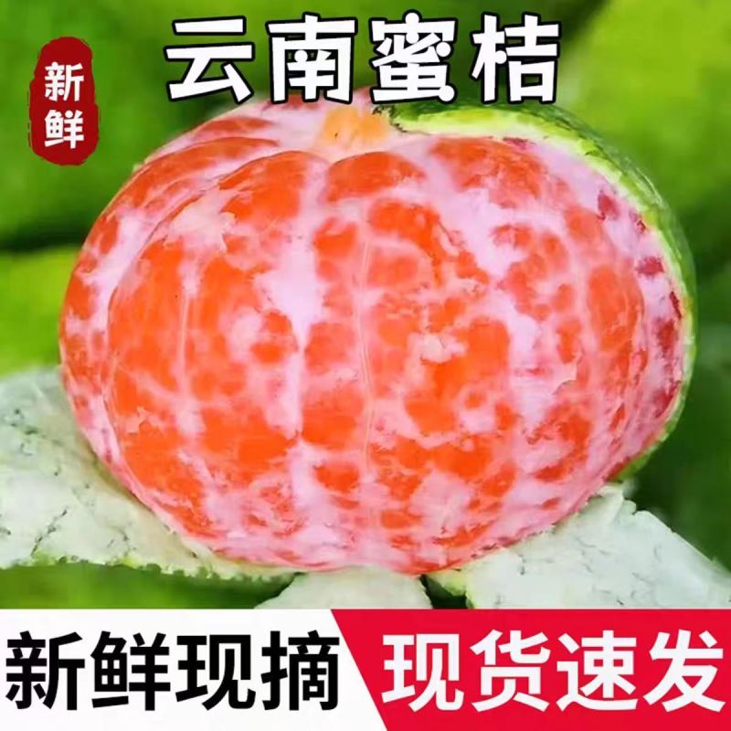 【酸甜多汁】云南蜜橘无核薄皮橘子青皮桔子时令水果当季现货现摘