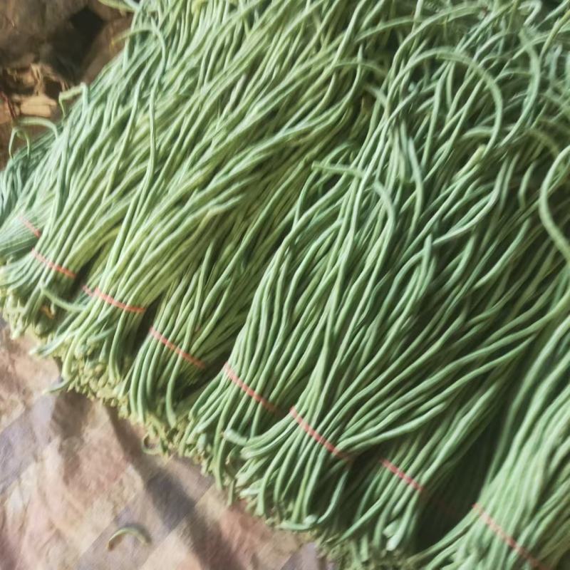 【量大优惠】安阳长豆角品质保障对接全国批发电商商超