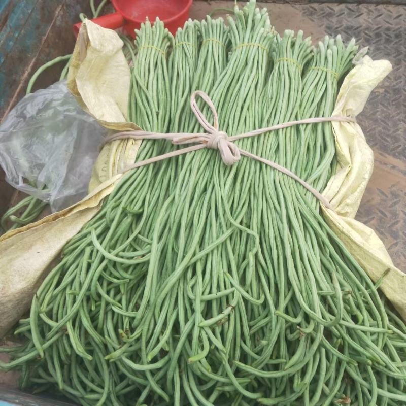 【量大优惠】安阳长豆角品质保障对接全国批发电商商超