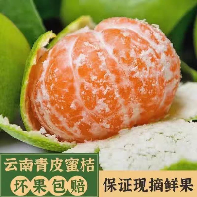 【酸甜多汁】云南蜜橘无核薄皮橘子青皮桔子时令水果当季现货现摘