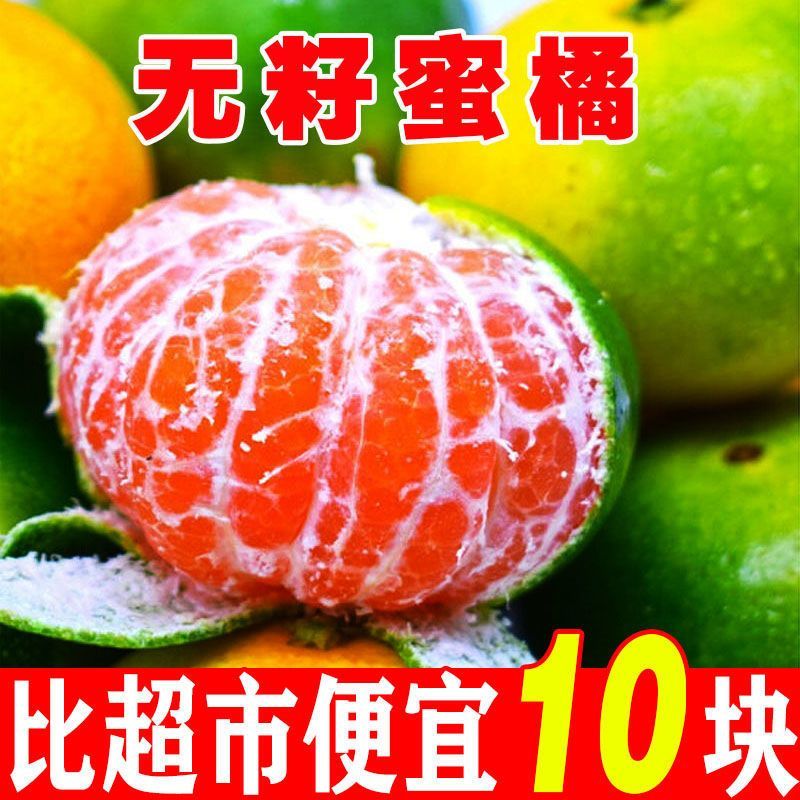 【酸甜多汁】云南蜜橘无核薄皮橘子青皮桔子时令水果当季现货现摘
