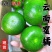 【酸甜多汁】云南蜜橘无核薄皮橘子青皮桔子时令水果当季现货现摘