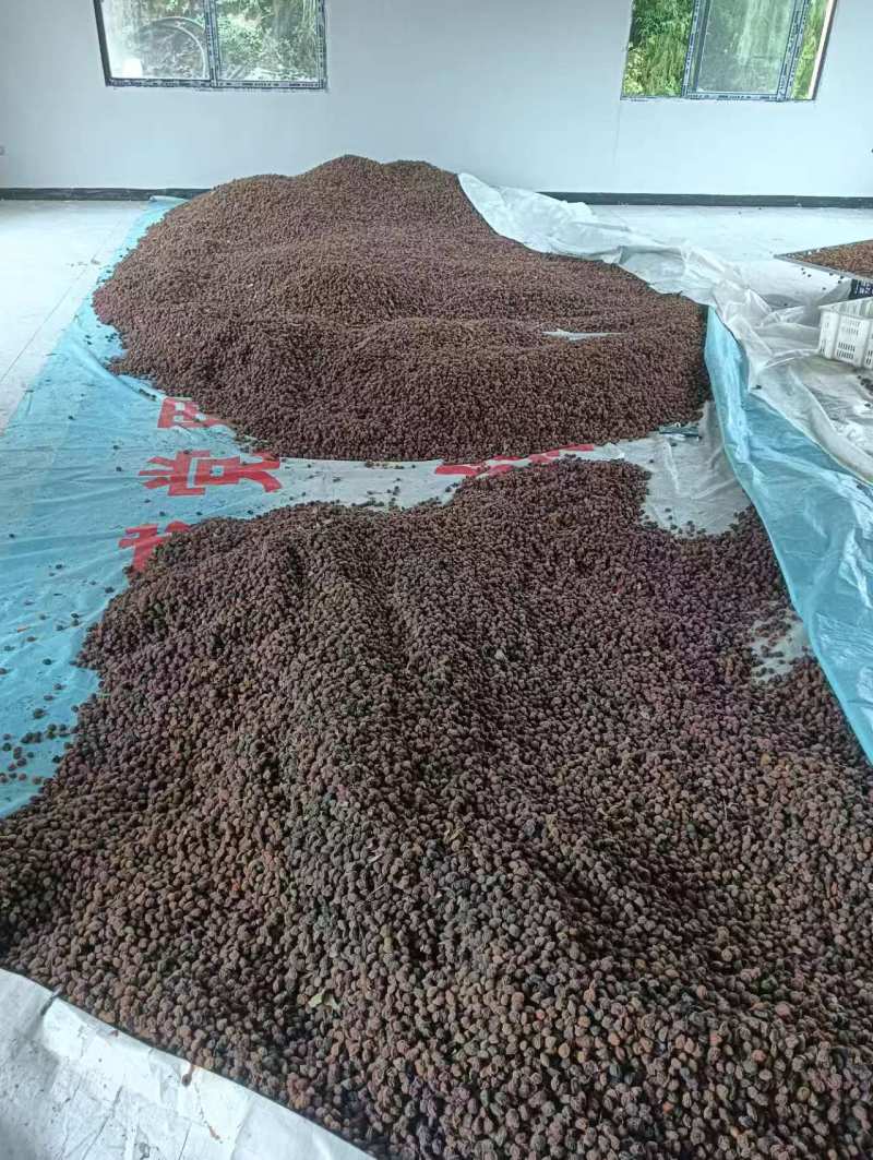 大量干乌梅