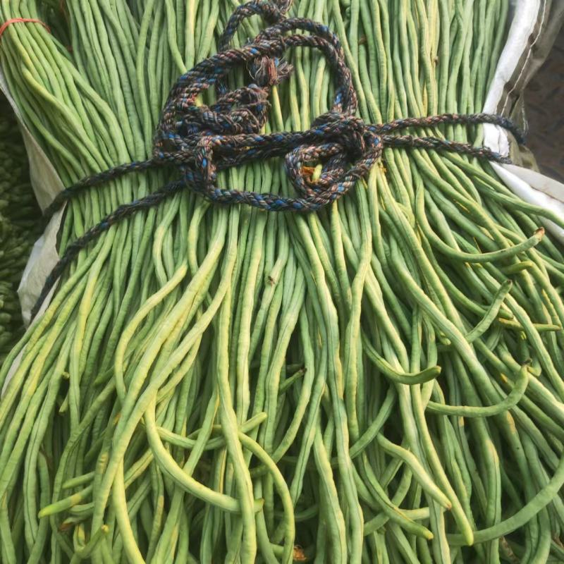 【品质】河南长豆角基地直供品质保障对接全国批发电商商超