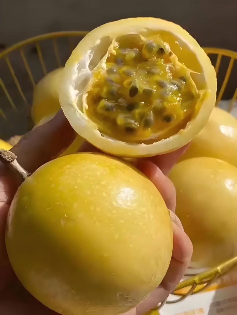 钦蜜九号百香果