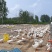 浙东鹅