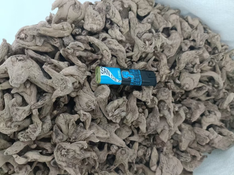 正品白芨一手货源长期稳定供货