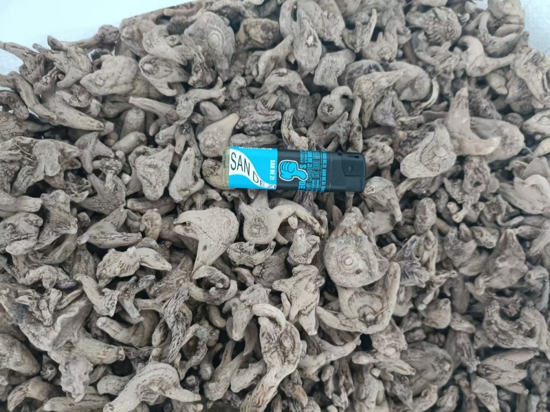正品白芨一手货源长期稳定供货