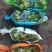 阳光玫瑰葡萄产地一手货源，甜度高，水分足，欢迎新老客户合作